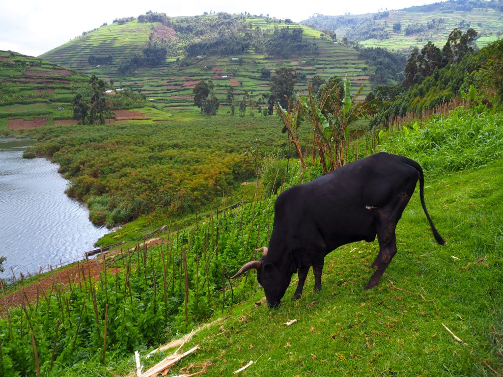 Sanga Village