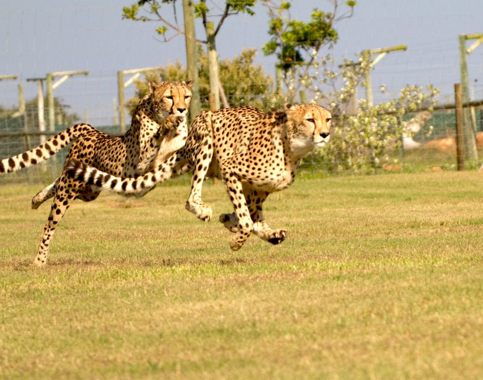 Touring the Wildlife Sanctuary