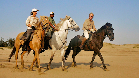 Bhangazi horse safari