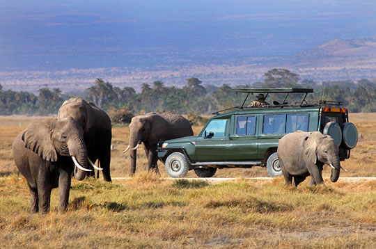 Game Drive in Amboseli