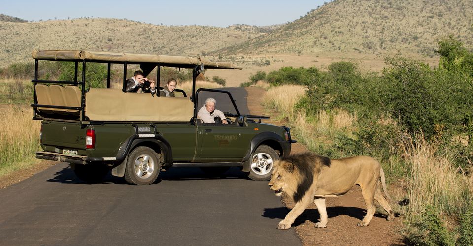 Game Drives