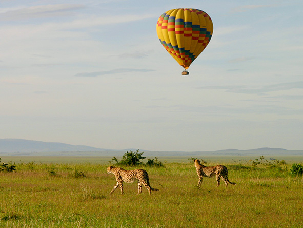 Balloon Safari at Masai Mara