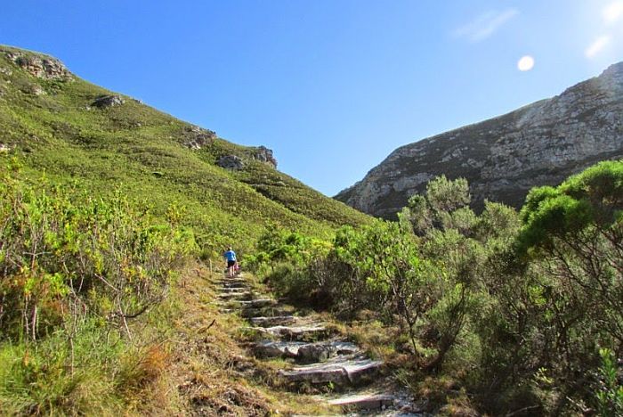 Fernkloof Nature Reserve