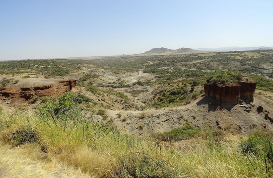 Visit the Olduvai Gorge