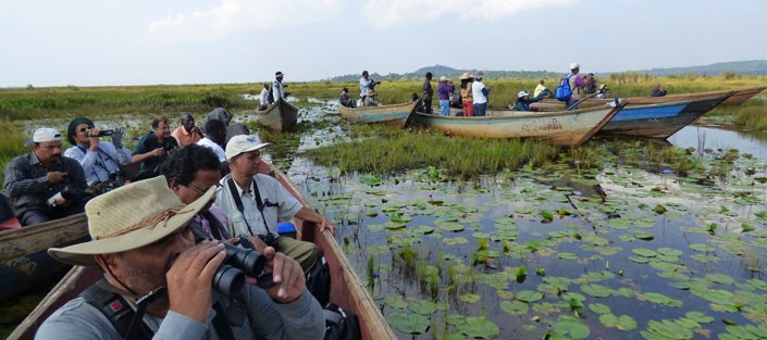 Canoe Tour