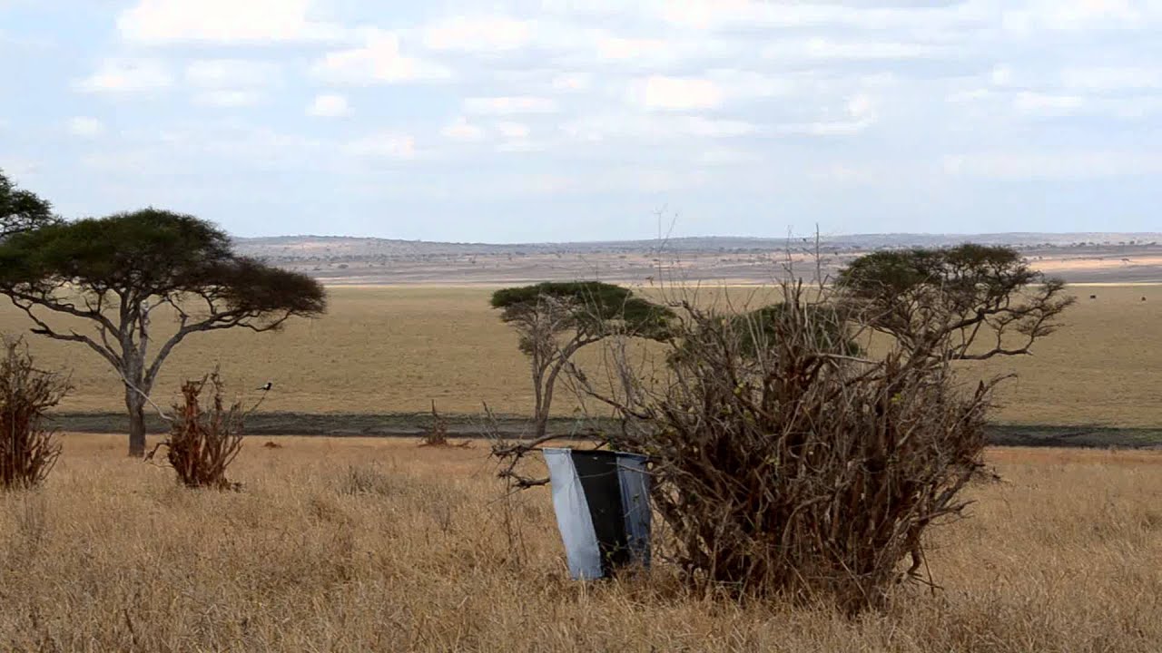 Silale Swamp Picnic Site