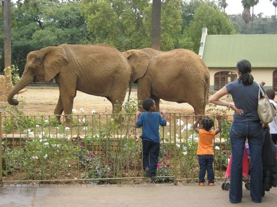 National Zoological Gardens of South Africa