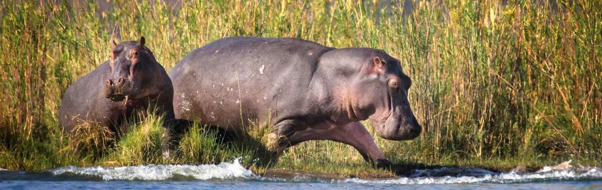 Mana Pools National Park