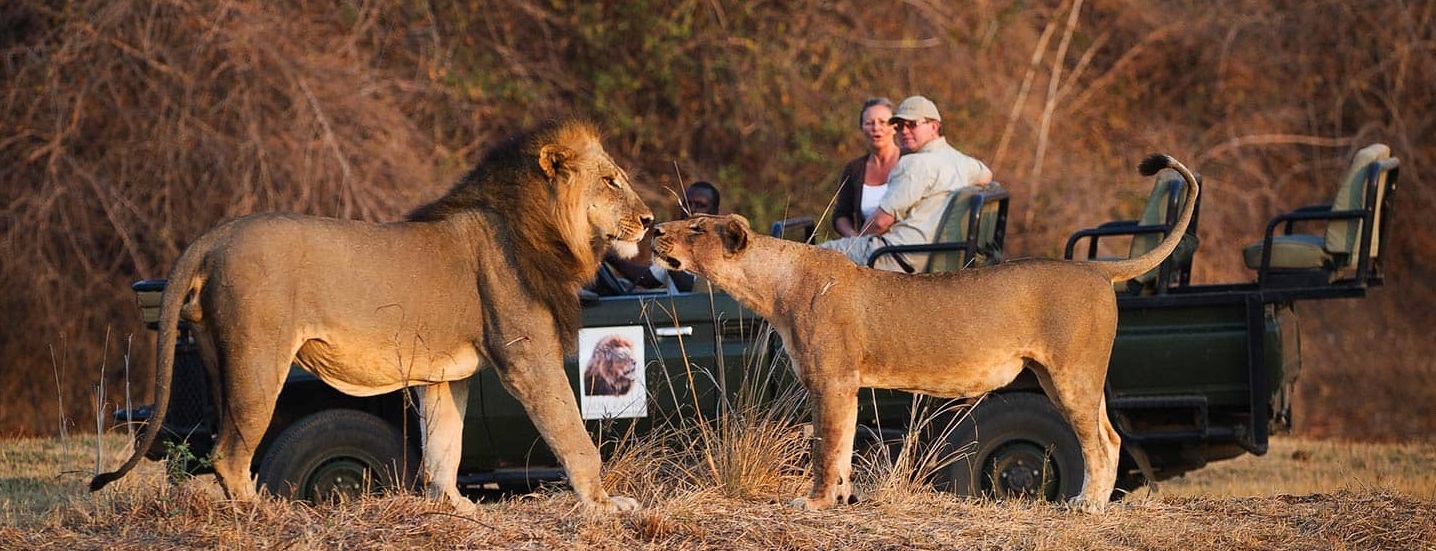 North Luangwa NP