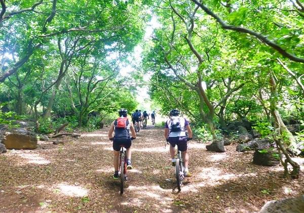 Bike trail in Bras d’Eau National Park