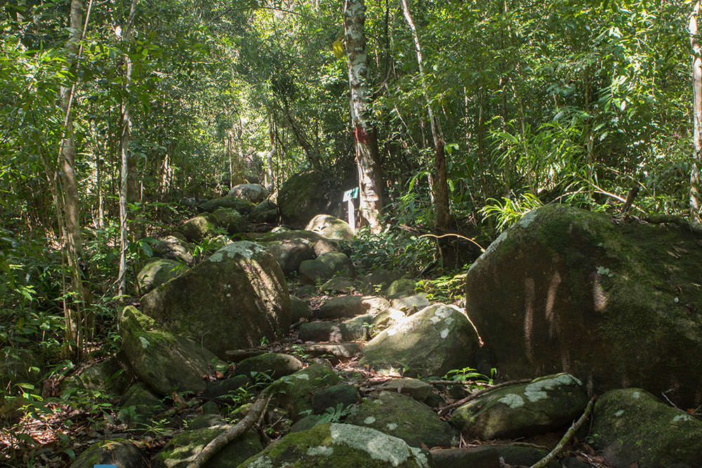 Lokobe National Park