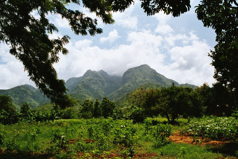 Uluguru Mountains