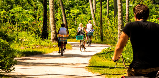 Cycling tour at La Digue