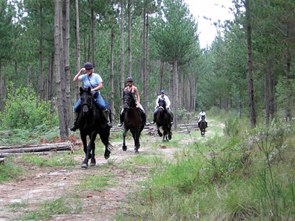  Black Horse Trails