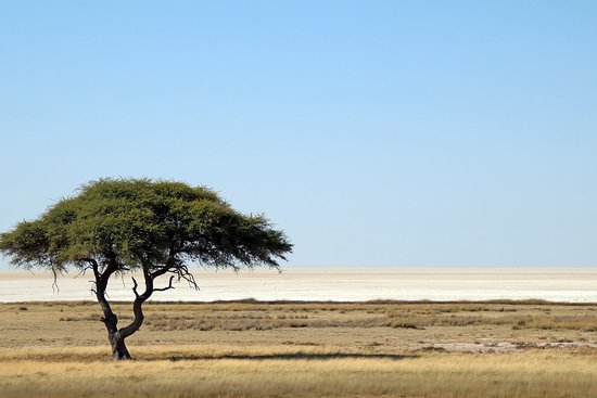 Etosha pan look out