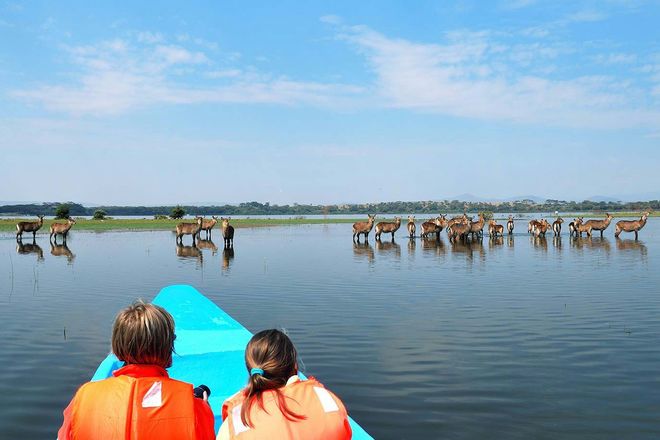 Boat safari at Lake Naivasha