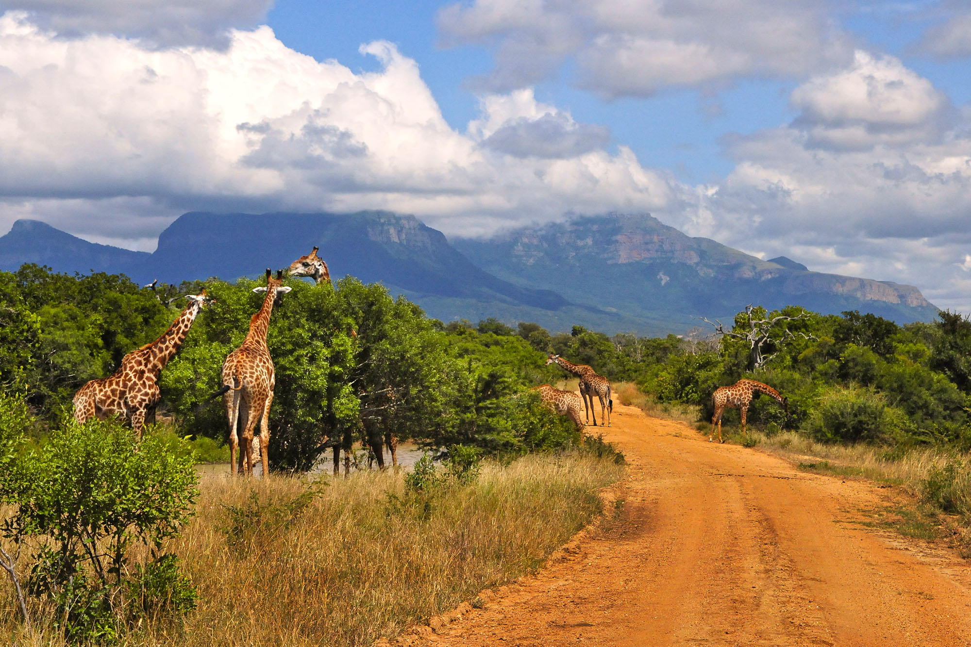 Wilderness trail at Kruger