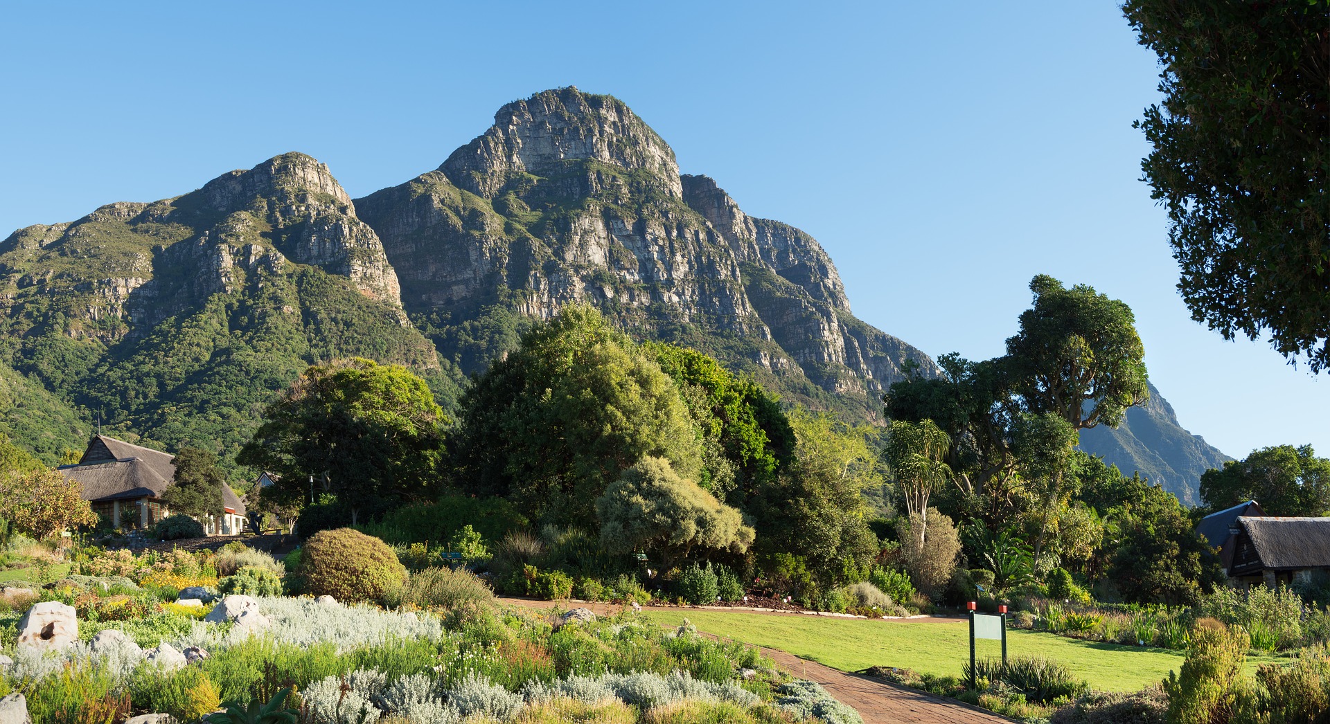 Eco-tour at Botanicals