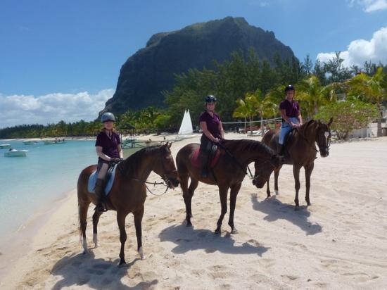 Horse Riding at Haras du Morne