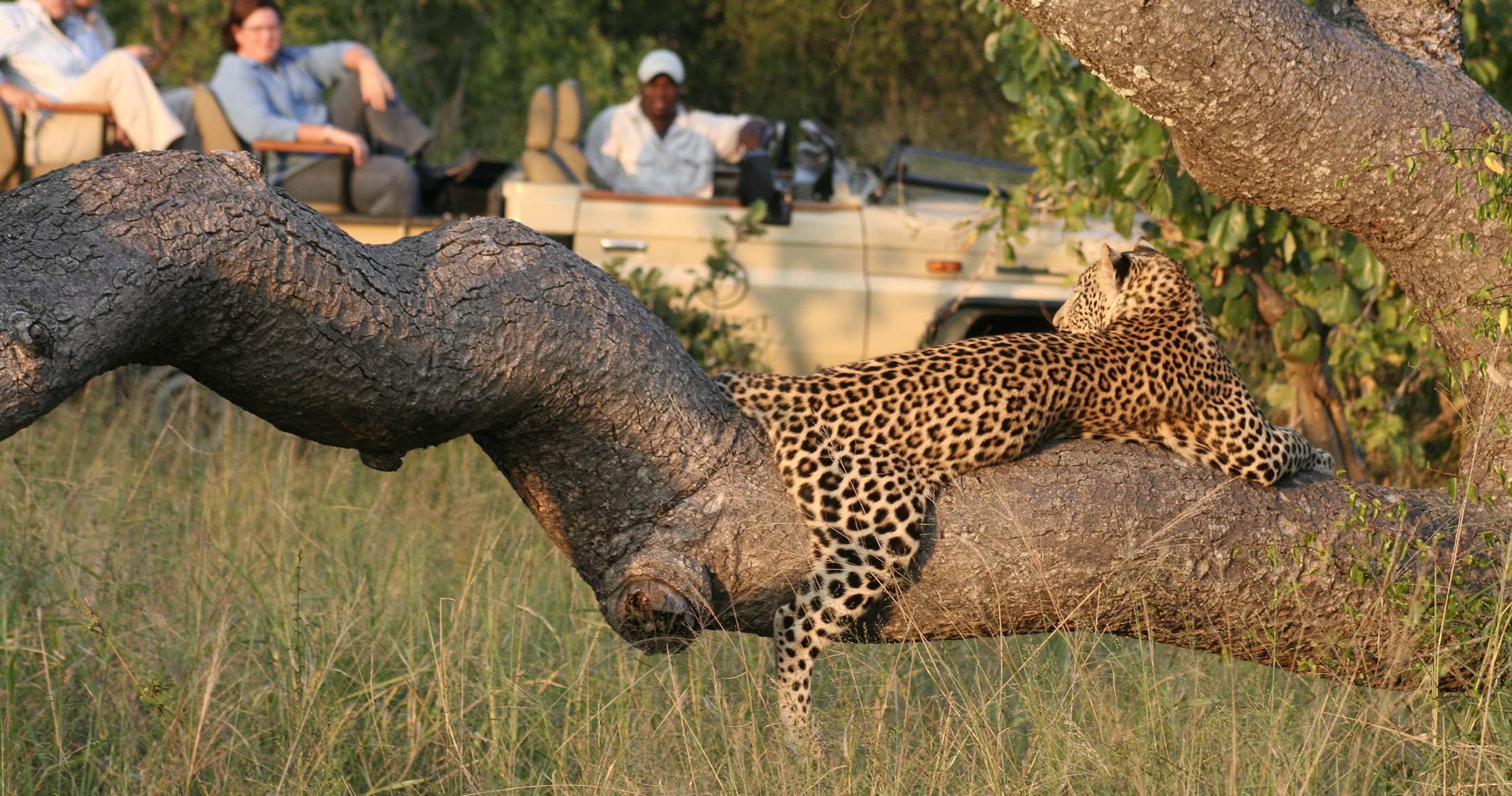 manyeleti-game-reserve