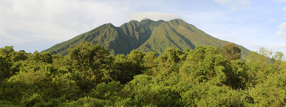 Mount Sabyinyo