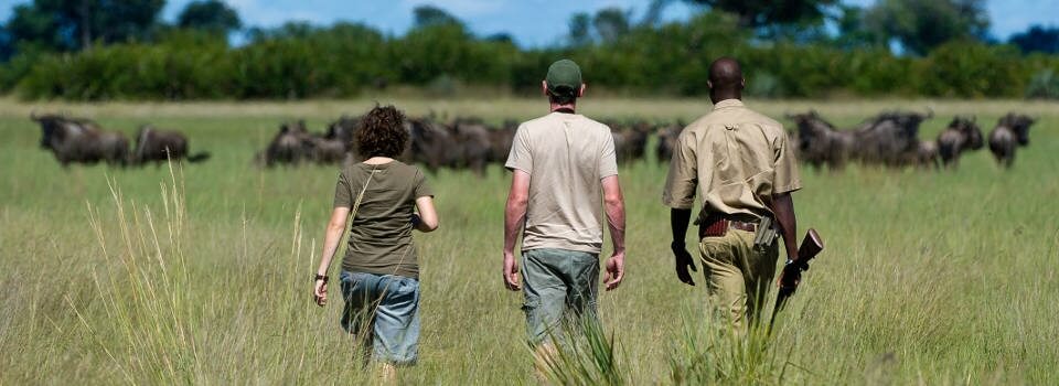 Day walks at the Reserve