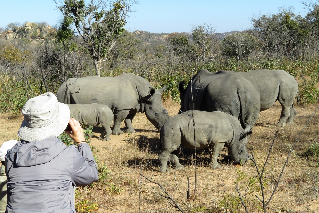 Game Viewing