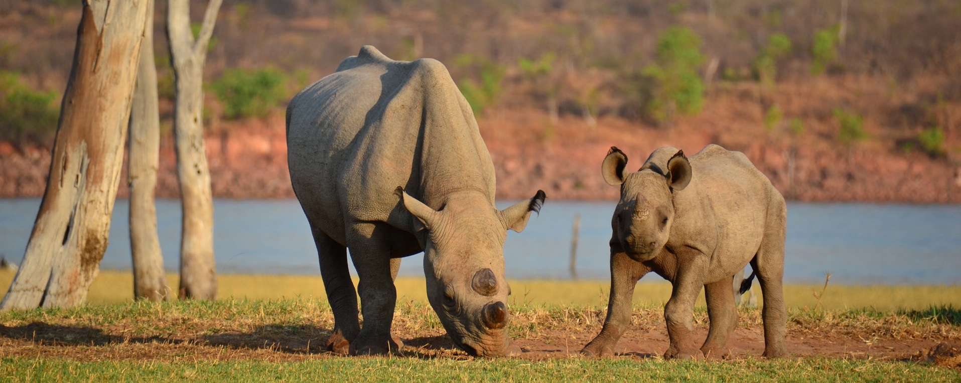 matobo-national-park