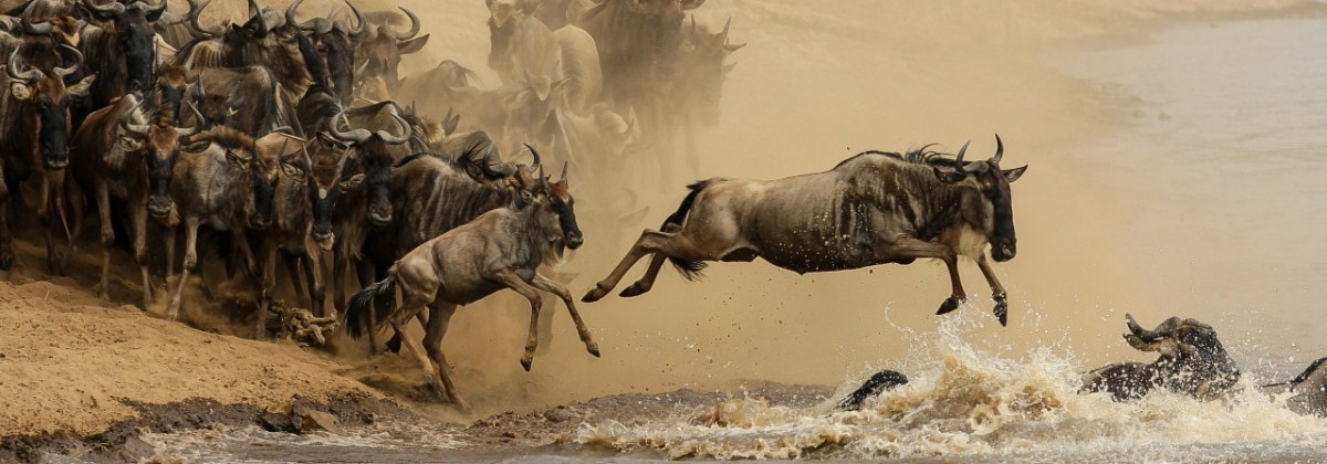 Serengeti National Park