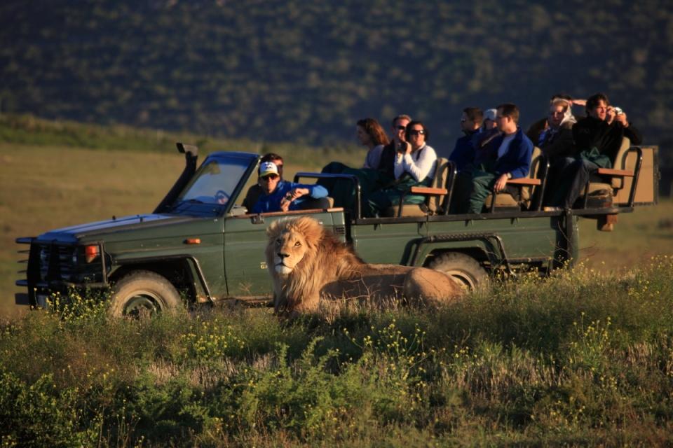 Garden Route Game Lodge