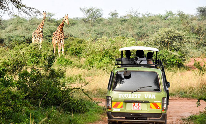 Game drive