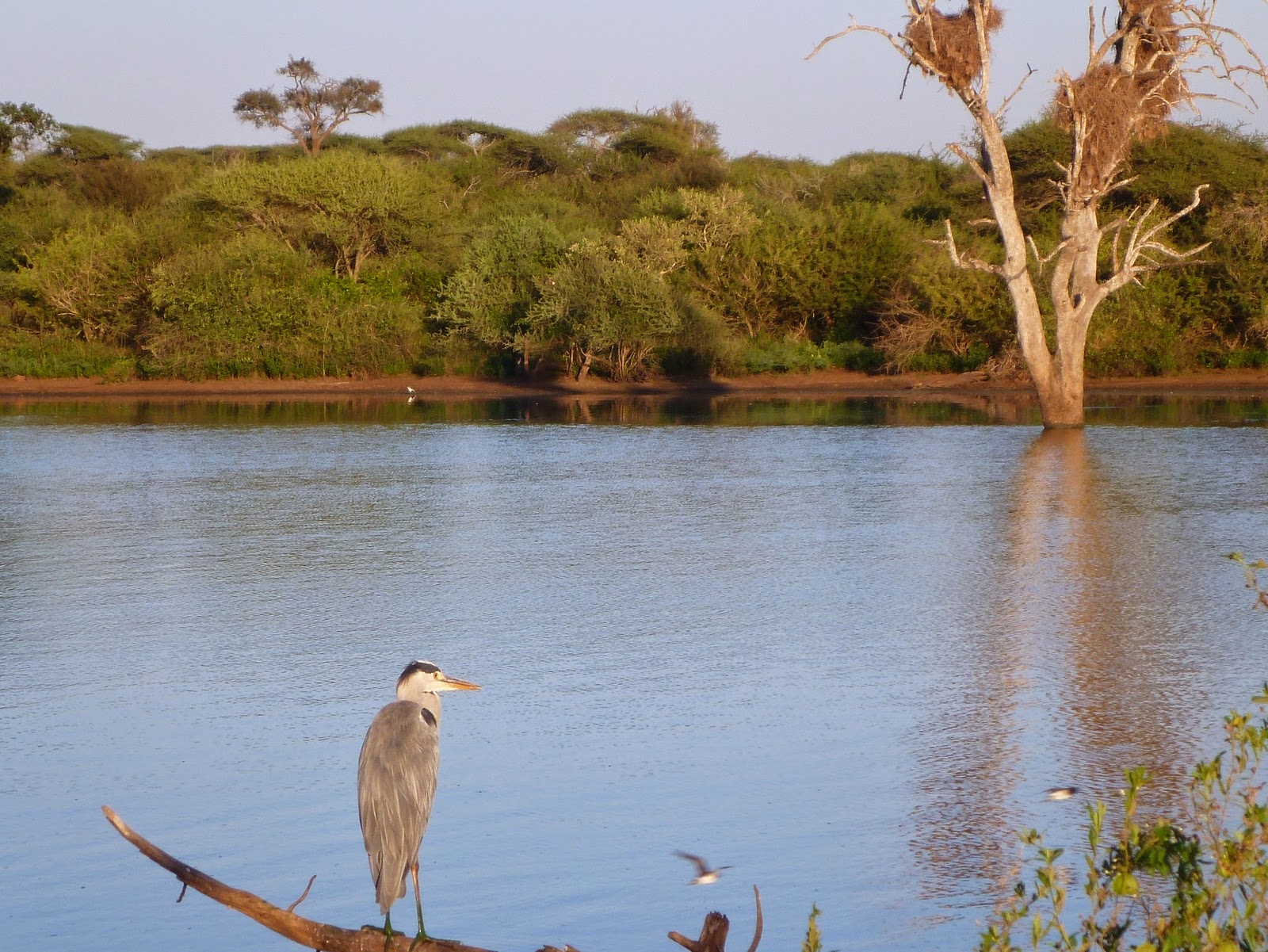 Lower Sabie