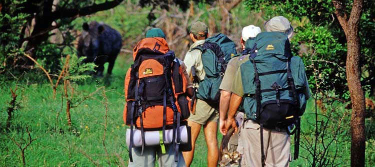 Self guided Foot Trails