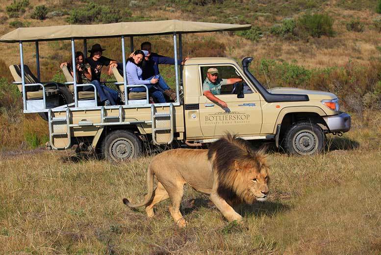 Botlierskop Private Game Reserve