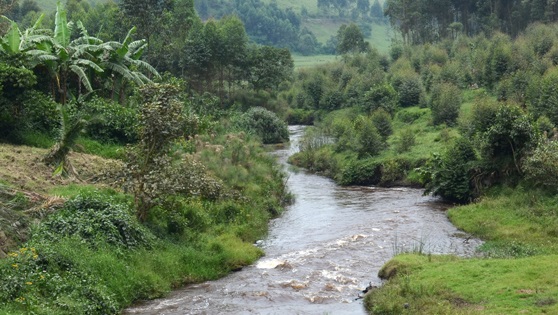 Adventure at River Rwizi