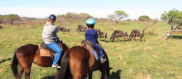 Horse Safari at Hluhluwe