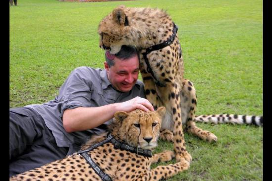 Cheetah Experience