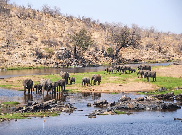 ruaha-national-park