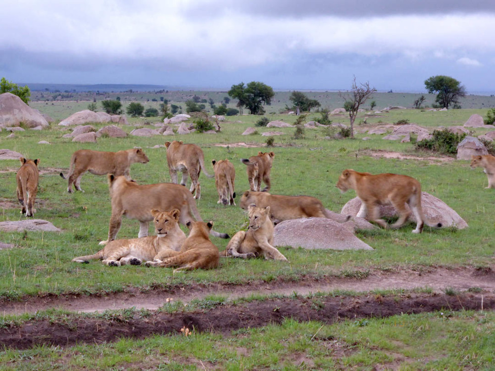 Grumeti Game Reserve