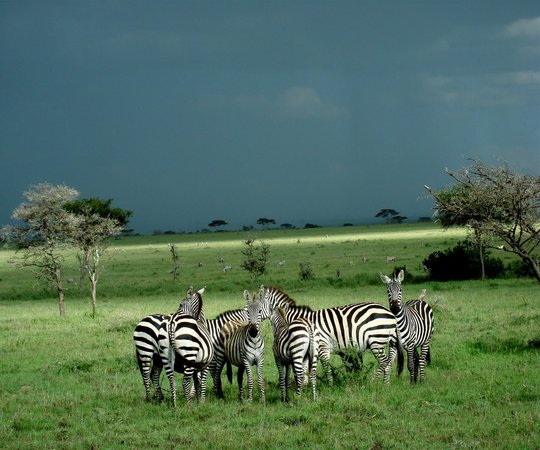 Maasai Kopjes