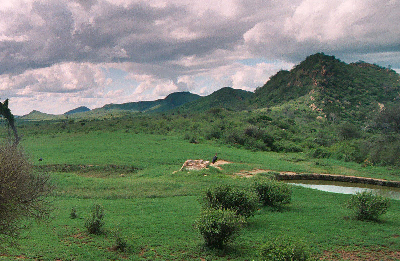 Nagulia Hills (Tsavo West)