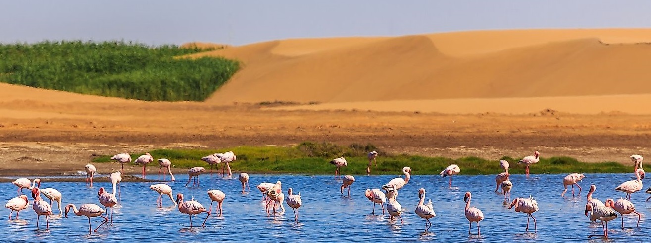 Kalahari Desert 