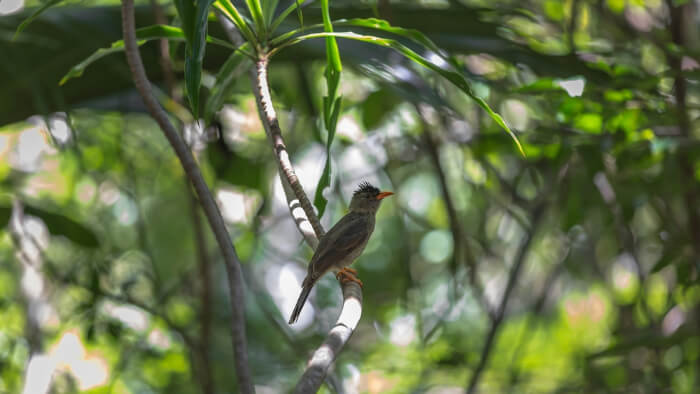 Discovering the nature reserves