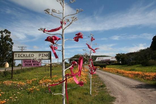 The Oudtshoorn wine estates