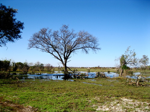 Paradise Pool