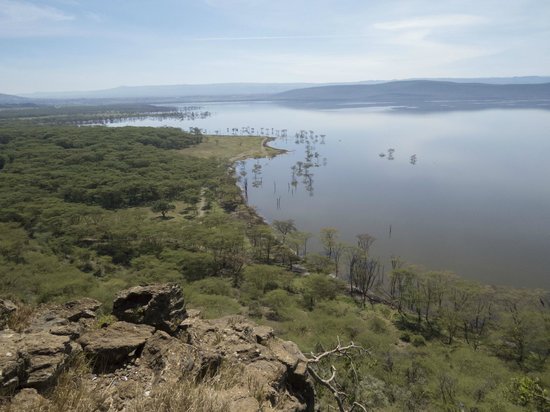 Baboon Cliff