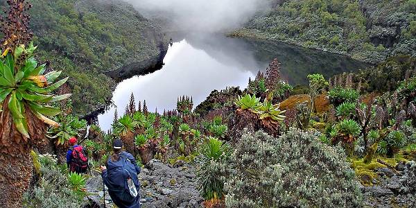 Rwenzori Mountains National Park