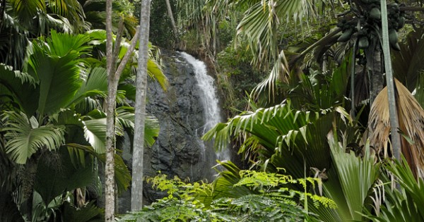 Vallée de Mai