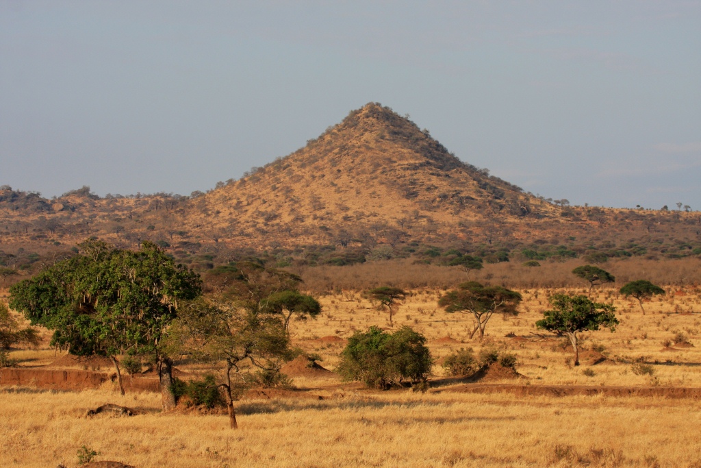 Tarangire Hill