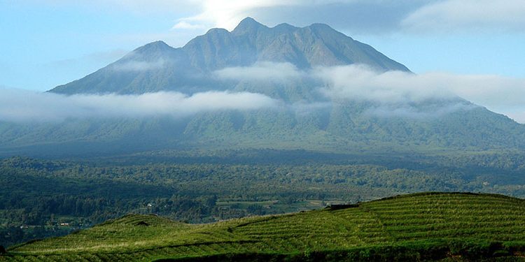 Mount Gahinga